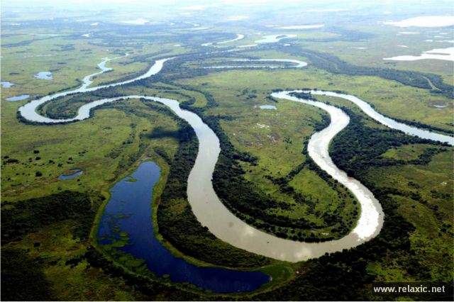 Kỳ thú khu tự nhiên hoang dã Pantanal - Brazil Khu thiên nhiên hoang dã Pantanal - bang Mato Grosso do Sul - Brazil