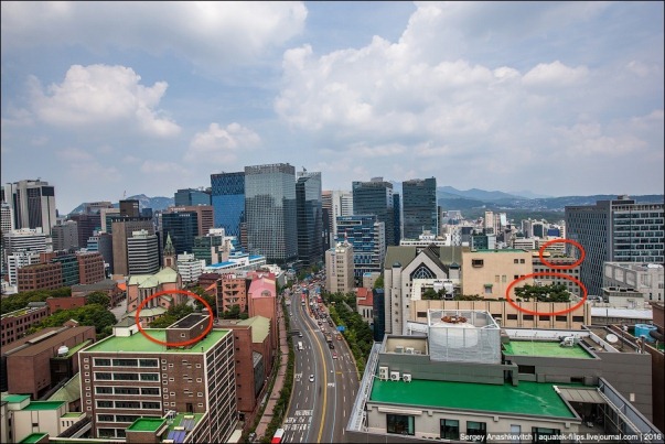 Thành phố Seoul Hàn Quốc đã trở thành thành phố xanh thế nào? - ảnh 1