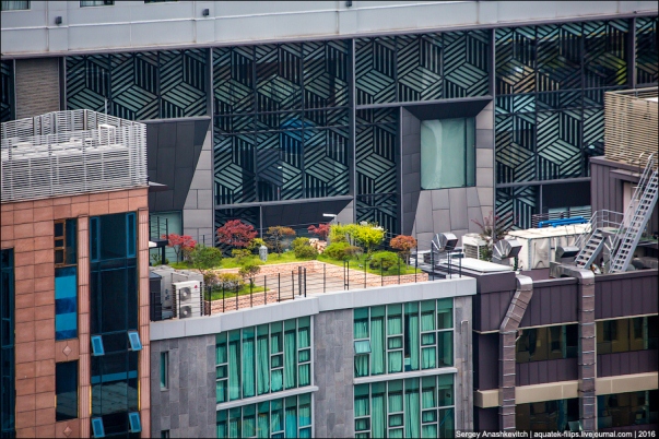Thành phố Seoul Hàn Quốc đã trở thành thành phố xanh thế nào? - ảnh 4