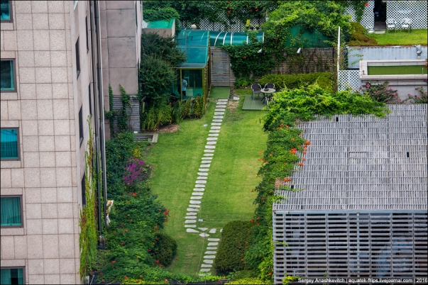 Thành phố Seoul Hàn Quốc đã trở thành thành phố xanh thế nào? - ảnh 5