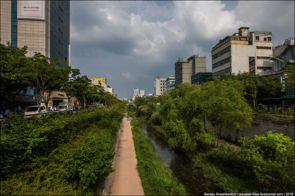 Thành phố Seoul Hàn Quốc đã trở thành thành phố xanh thế nào? - ảnh 8