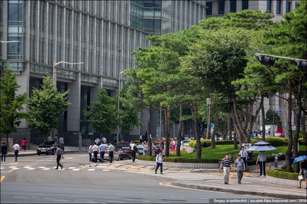 Thành phố Seoul Hàn Quốc đã trở thành thành phố xanh thế nào? - ảnh 14